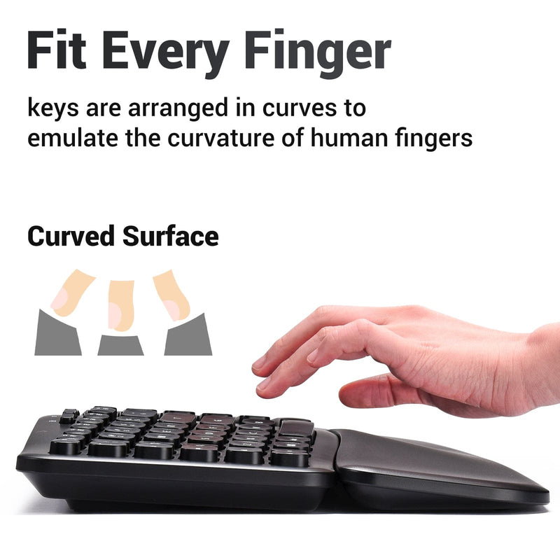 RVP+ Split Ergonomic Keyboard with Magnetic Wrist Rest (2.4 GHz), Wireless Keyboard, USB Interface - Black
